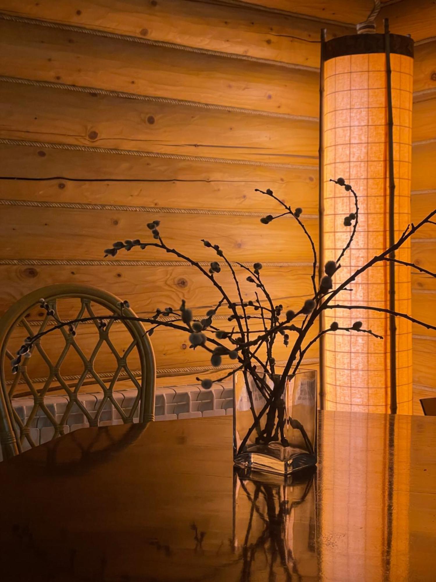 Bukovynskiy Zatyshok Chalet Boekovel Buitenkant foto