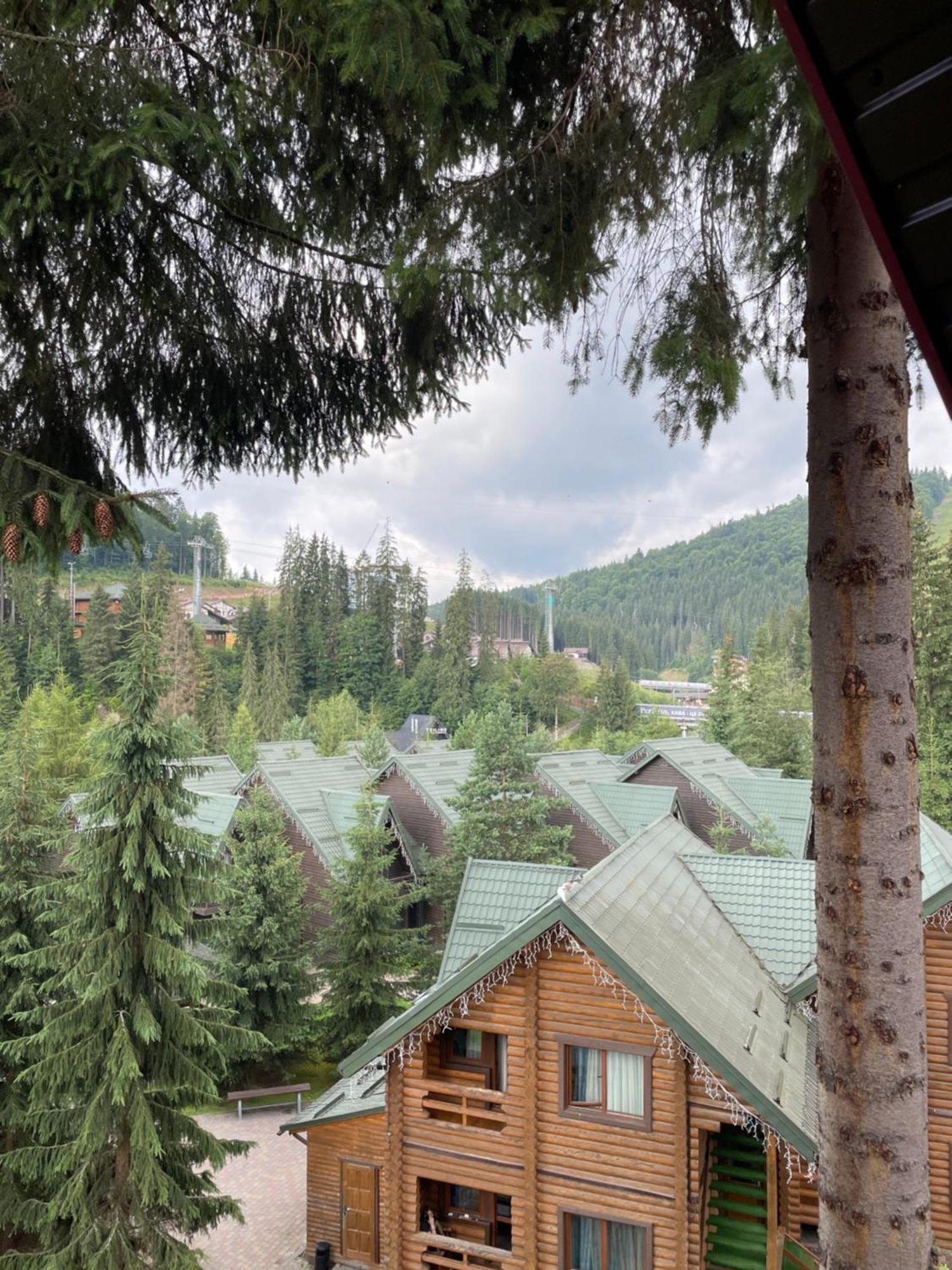 Bukovynskiy Zatyshok Chalet Boekovel Buitenkant foto